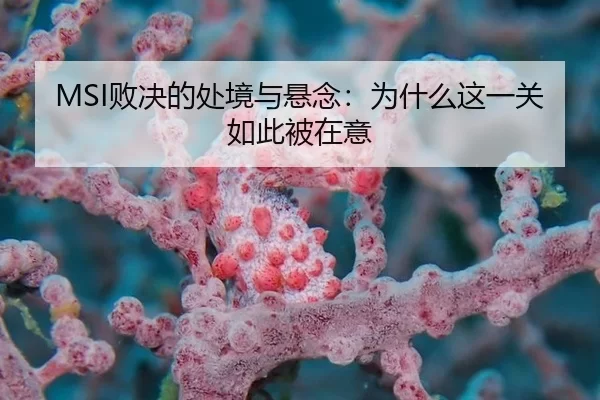 bai-jue-de-chu-jing-yu-xuan-nian-wei-shen-me-zhe-yi-guan-ru-ci-bei-zai-yi-2-565.jpg